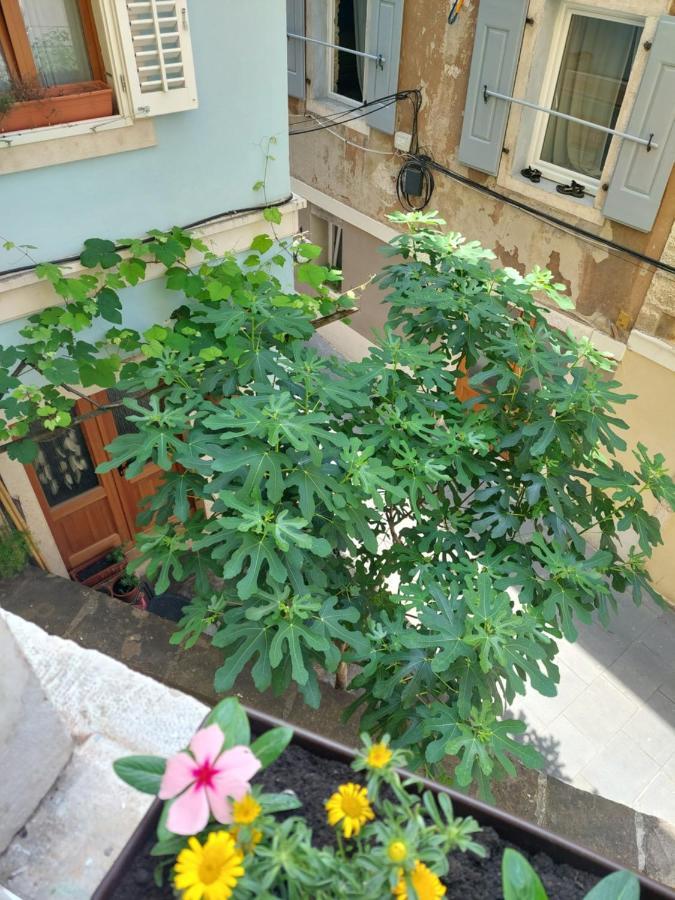 Studio Cebelica Пиран Экстерьер фото
